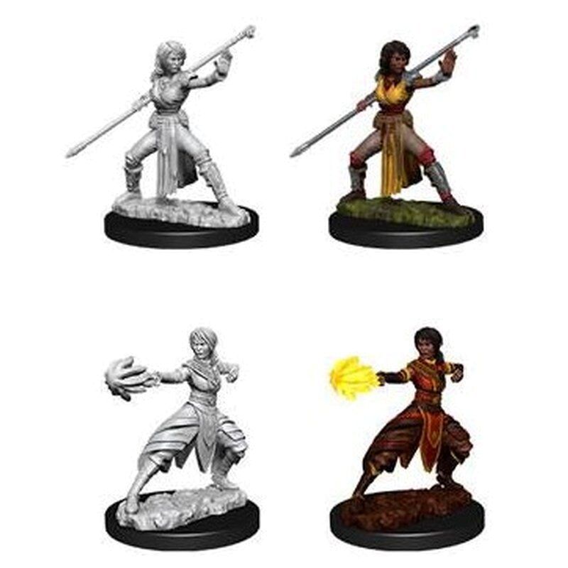 D&D Miniatures - Half-Elf Female Monk