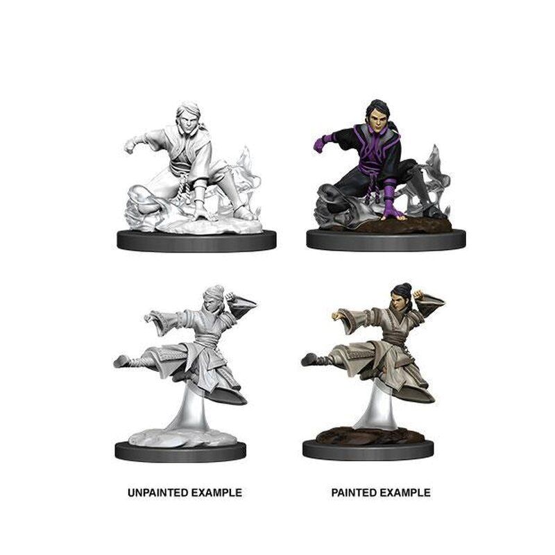 D&D Miniatures Human Female Monk