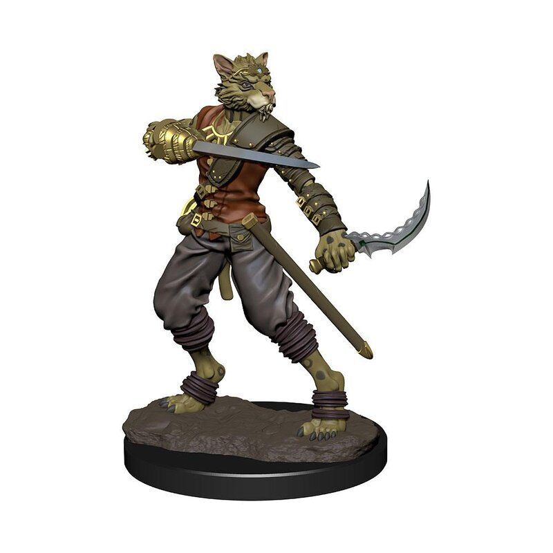 D&D Male Tabaxi Rogue Premium Figure